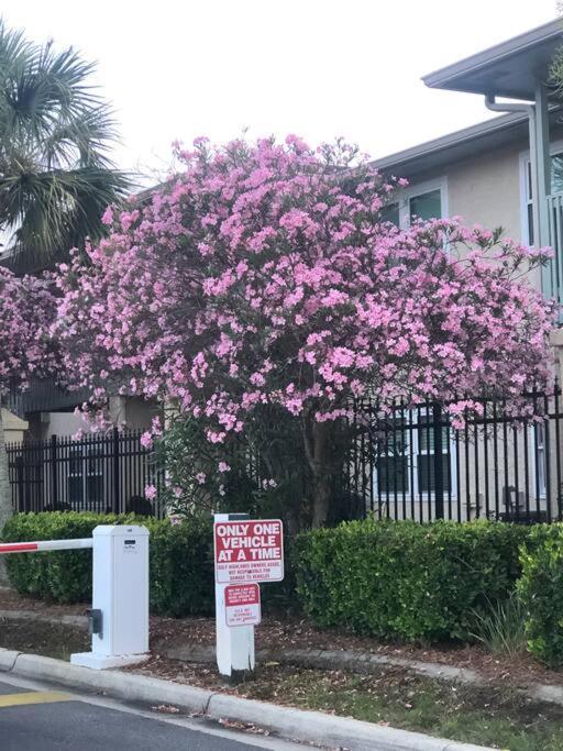 Appartamento Happy Heron, Steps To Beach Panama City Beach Esterno foto